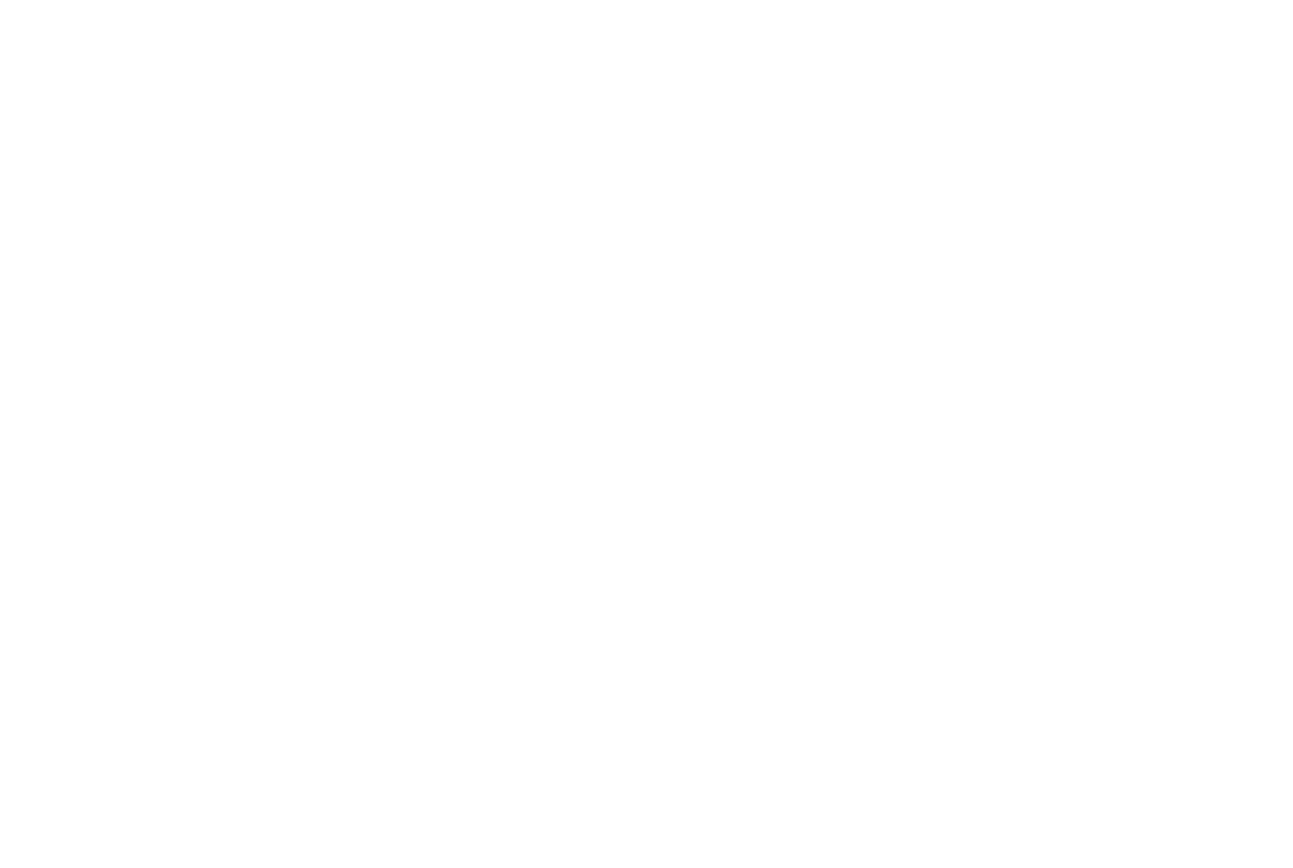 Lucid Day Logo (R) White